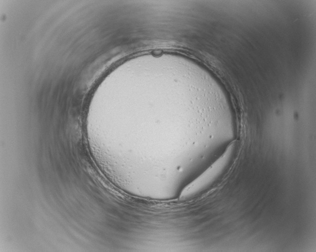 X0000051251212200507152141