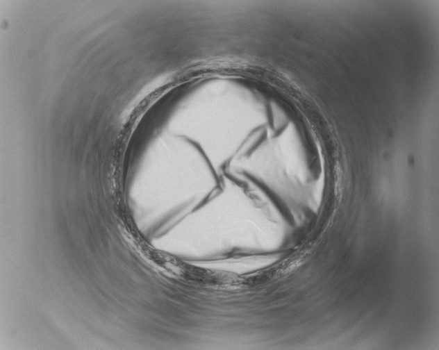 X0000051251213200507152141