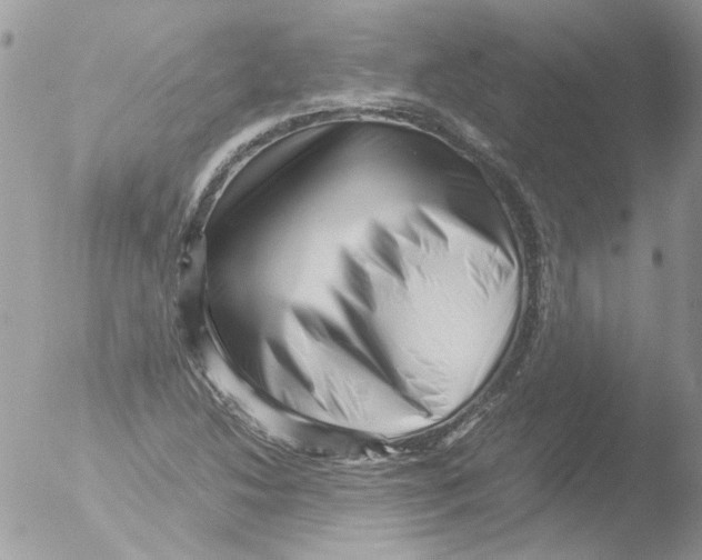 X0000051251214200507152141