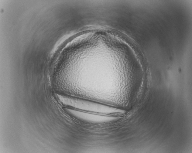 X0000051251215200507152141