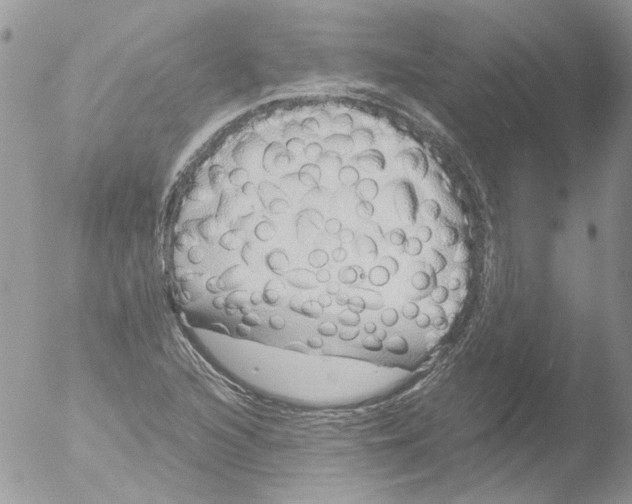 X0000051251216200507152141