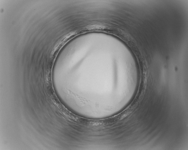 X0000051251217200507152141