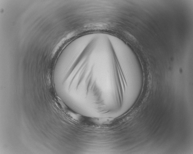 X0000051251218200507152141