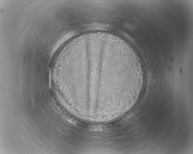 X0000051251219200507152141