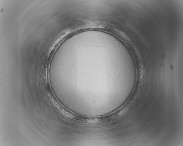 X0000051251220200507152141