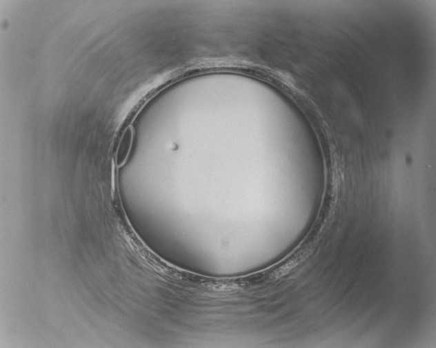 X0000051251221200507152141