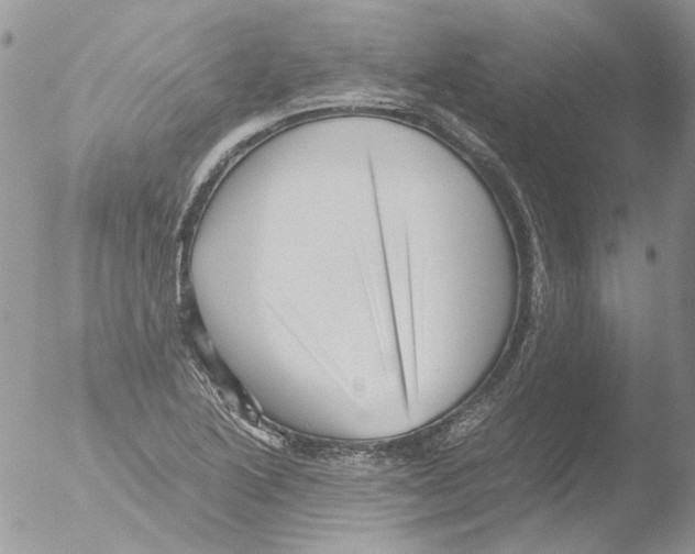 X0000051251222200507152141