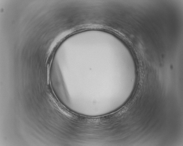 X0000051251223200507152141