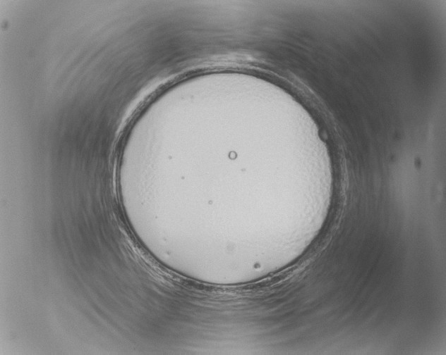 X0000051251224200507152141