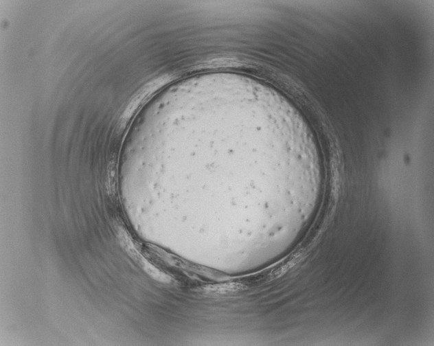 X0000051251225200507152141