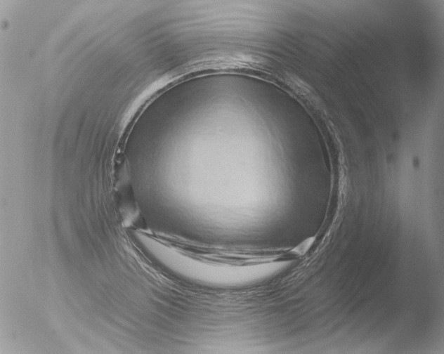 X0000051251226200507152141