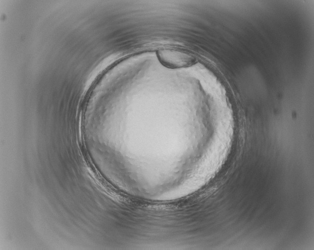 X0000051251227200507152141