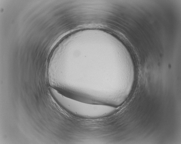 X0000051251228200507152141