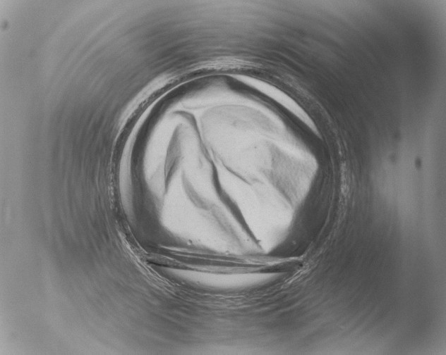 X0000051251229200507152141