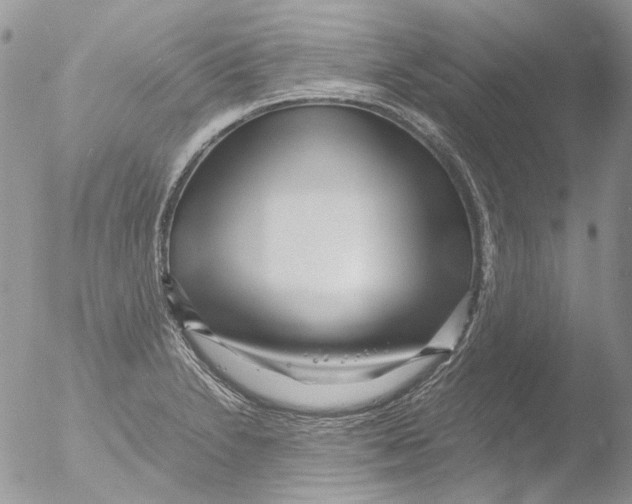 X0000051251230200507152141