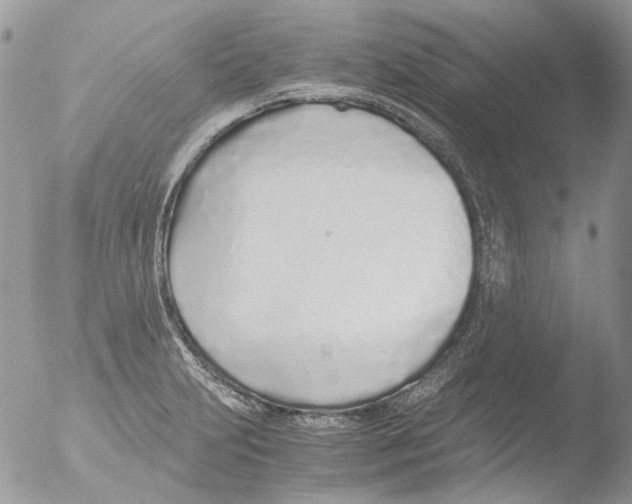 X0000051251231200507152141