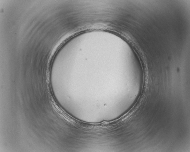 X0000051251232200507152141