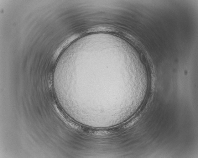 X0000051251233200507152141