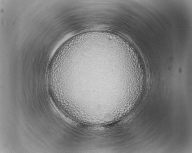 X0000051251235200507152141