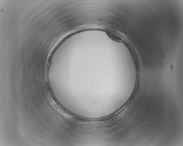 X0000051251236200507152141