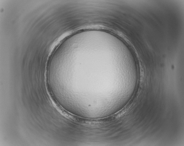 X0000051251237200507152141