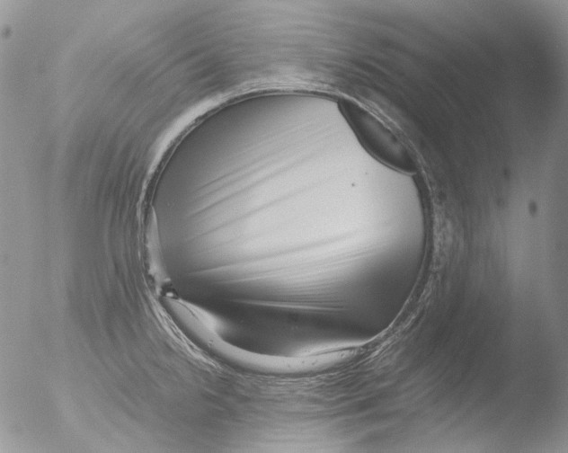 X0000051251238200507152141