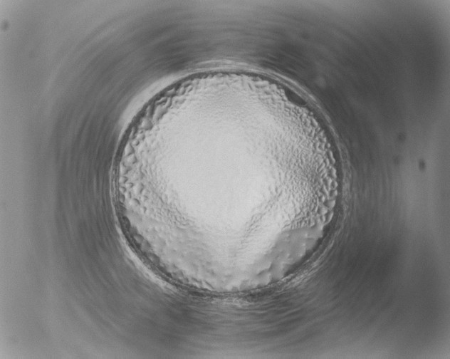 X0000051251239200507152141