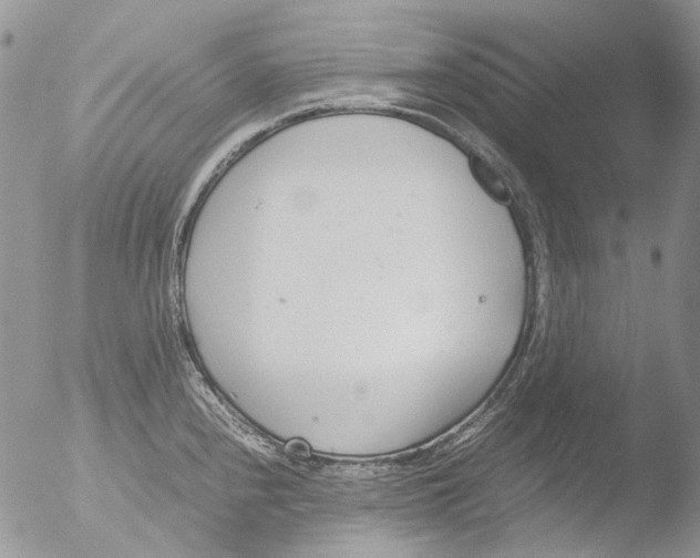 X0000051251240200507152141