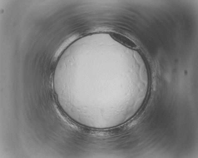 X0000051251241200507152141