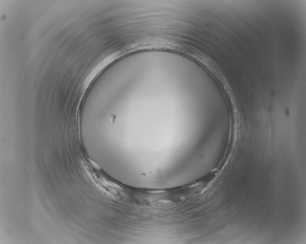 X0000051251242200507152141