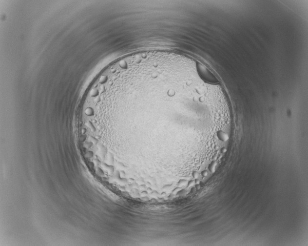 X0000051251243200507152141