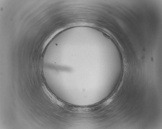 X0000051251244200507152141