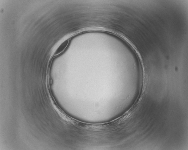 X0000051251245200507152141