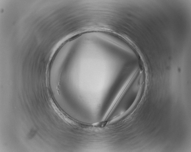 X0000051251246200507152141