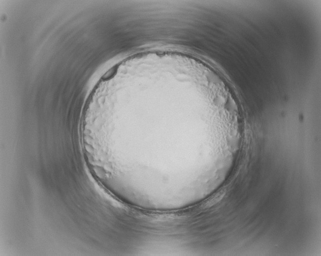 X0000051251247200507152141