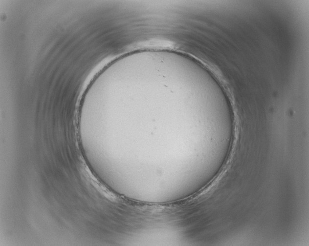 X0000051251248200507152141