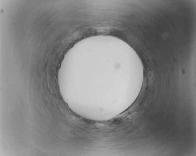 X0000051251249200507152140