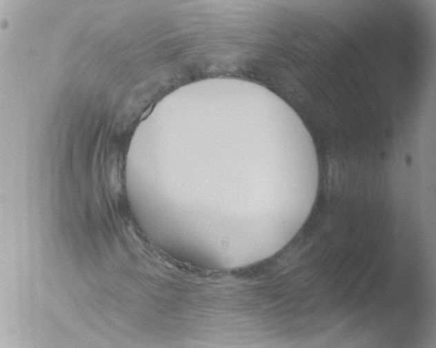 X0000051251250200507152140