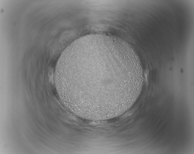 X0000051251251200507152140