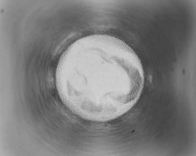 X0000051251252200507152140