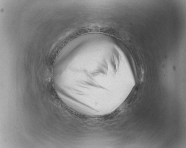 X0000051251253200507152140