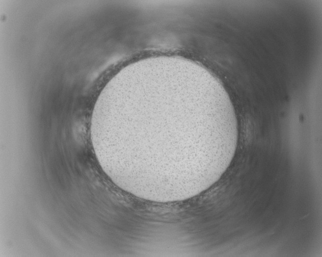 X0000051251254200507152140