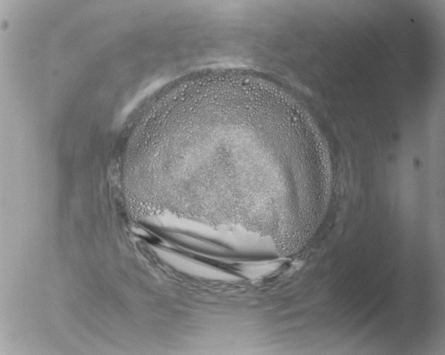 X0000051251255200507152140