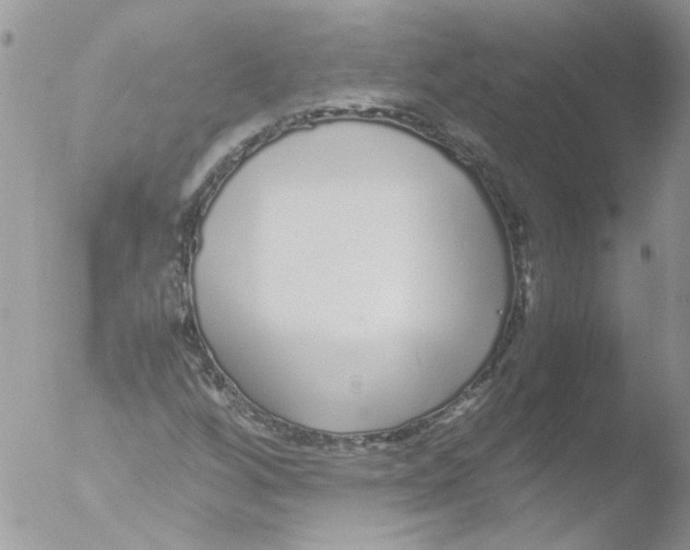 X0000051251256200507152140