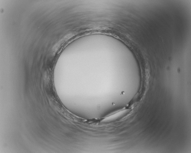 X0000051251257200507152140