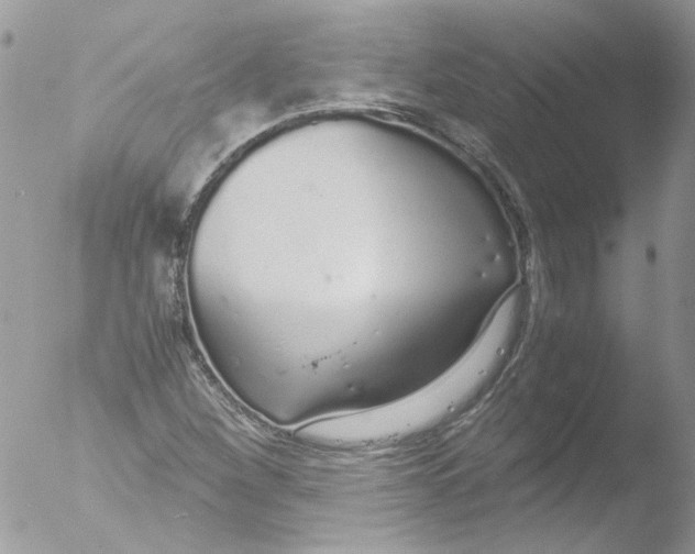 X0000051251260200507152140