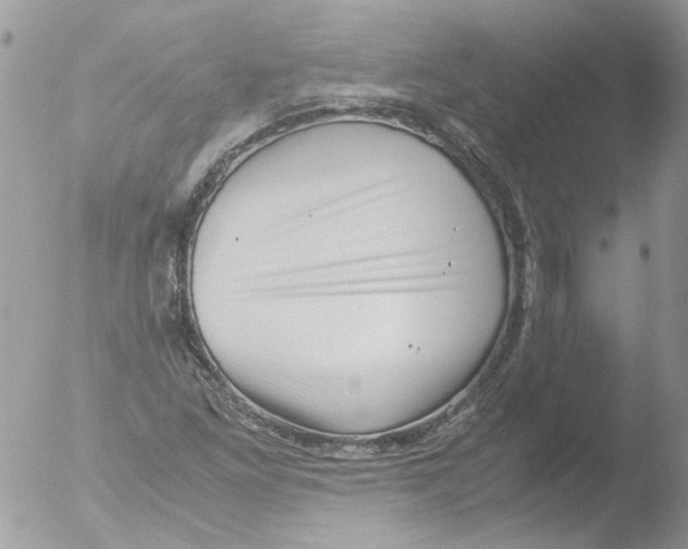 X0000051251261200507152140