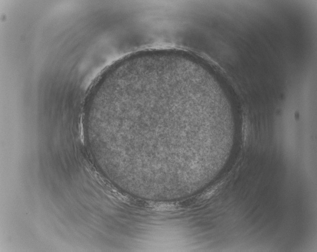 X0000051251262200507152140