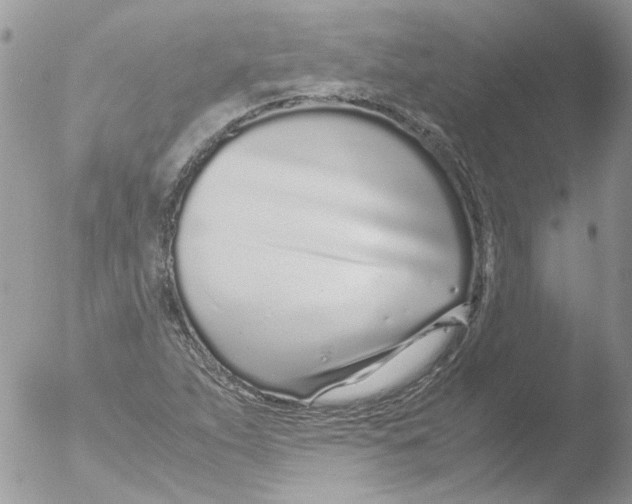 X0000051251263200507152140