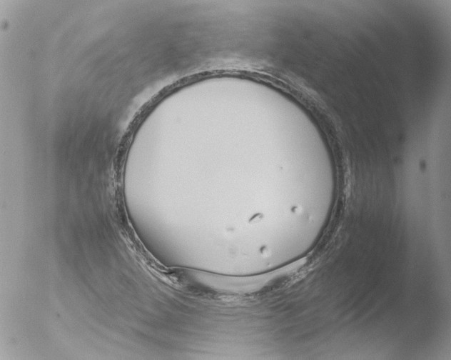 X0000051251264200507152140